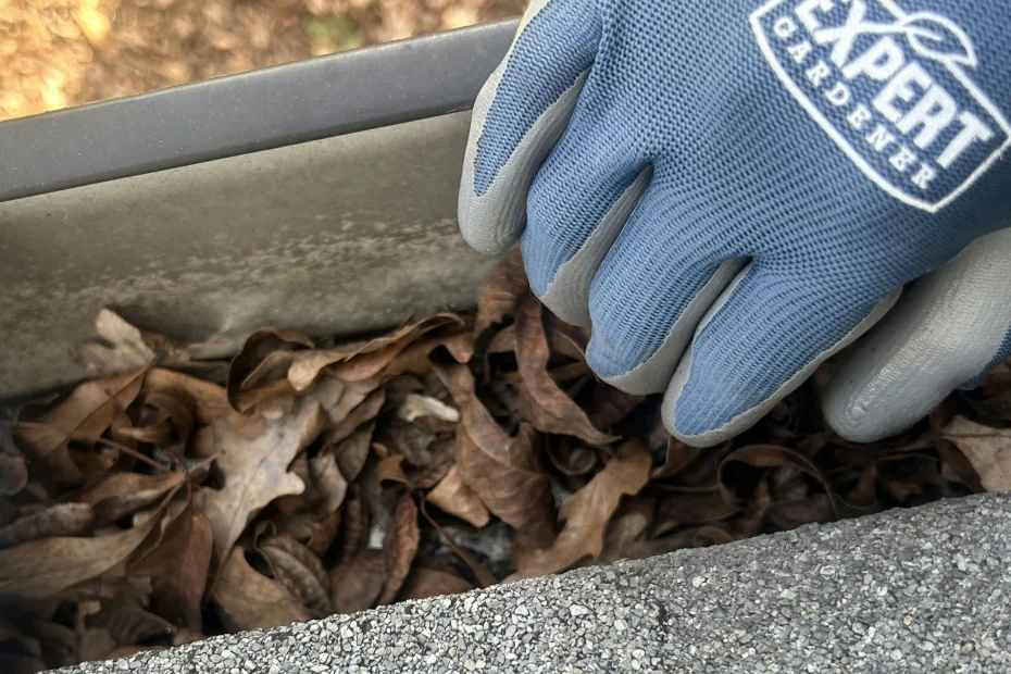 Gutter Cleaning Stokesdale